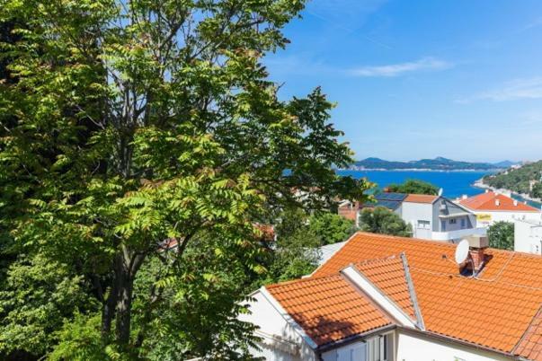 Niki Apartment Dubrownik Zewnętrze zdjęcie